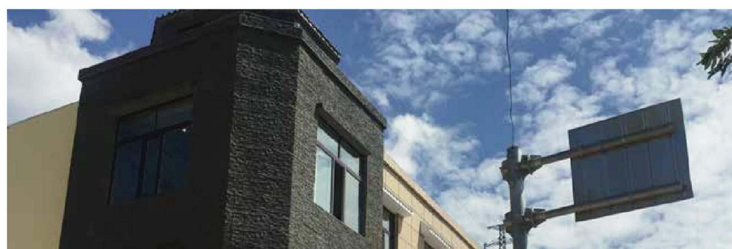 PU Stone Rock Wall Panels enlarged application detail